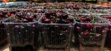Cerima Cherries invests in custom machinery with state-of-the-art technology to assure its traceability and trusts Datalogic